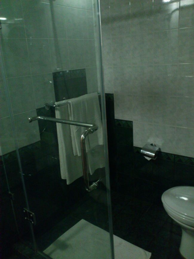 とは言え、バスタブはありません。<br />これは予約の際に了解していたので。。。<br /><br />シャワーは水量もたっぷりで何ら問題はありません。