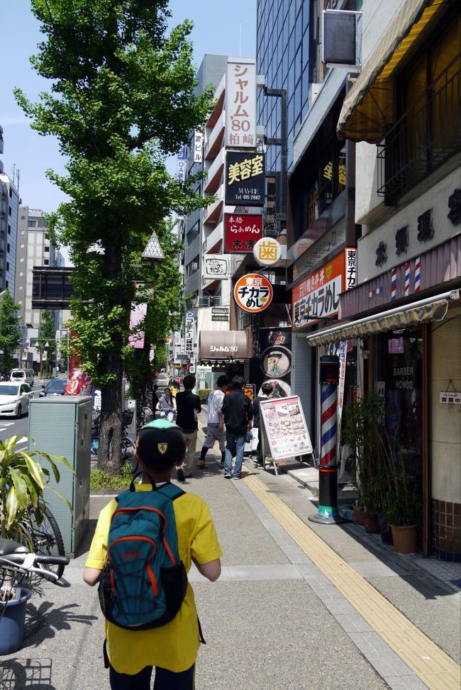 本郷の銀杏並木