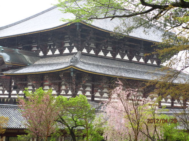 矢張りこここそ東大寺の中心、シンボルとなる建物だ。