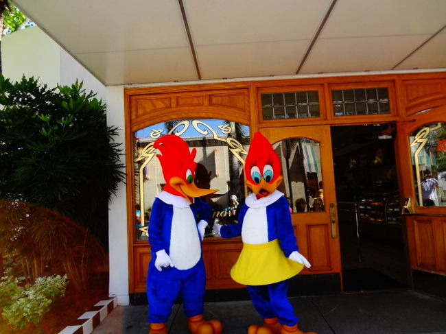 12wdw ユニバーサル オーランド ユニバーサル スタジオ編 オーランド アメリカ の旅行記 ブログ By 碧aoiさん フォートラベル