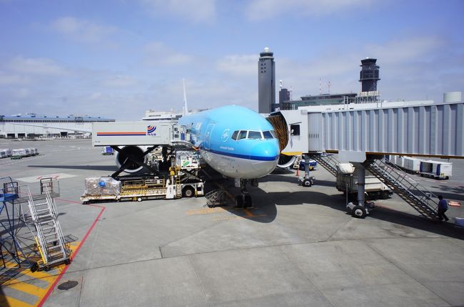 なので当然KLMオランダ航空も初利用。