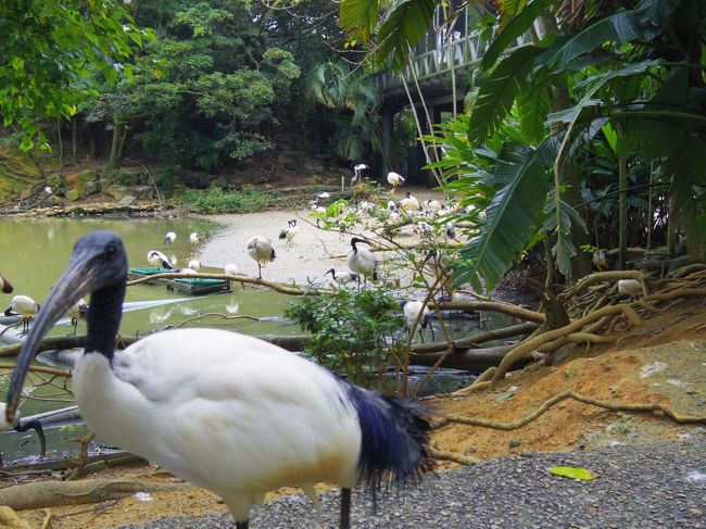 園内はかなり自由に動物が放たれてた感じ。<br /><br />でもこの写真を最後に豪雨にあいました。