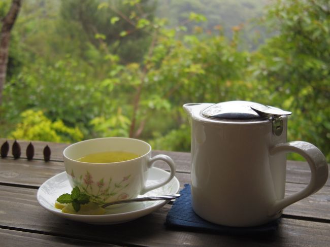 山の中でハーブティー<br /><br />沖縄で山ってのもなかなか気持ちよかった