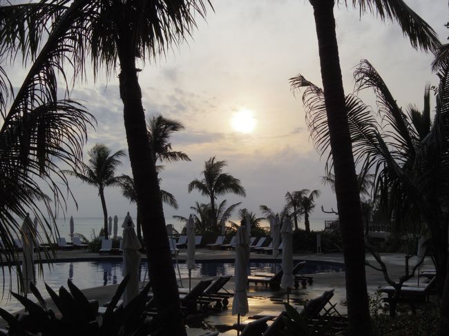 やっと沖縄らしい景色に出会えた