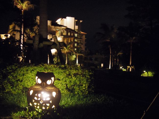 ふくろうのほのかな光に照らされながら<br /><br />部屋へ戻ります