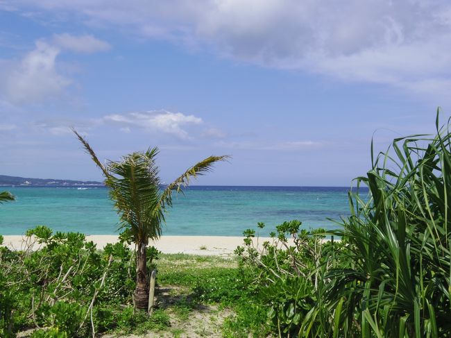 海沿いを散歩しながら万国津梁館へ