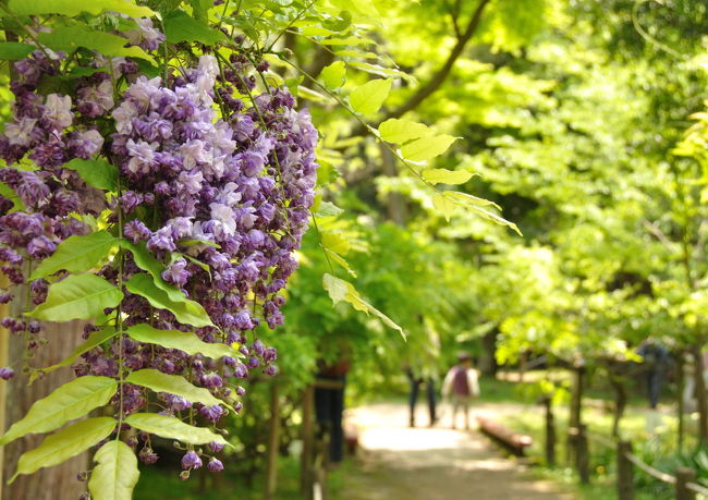 私は何でもスローペースなんで<br />写真を撮るのも時間がかかるんだけど<br />今日は旦那と一緒<br />