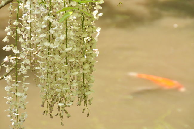 一人出来たほうが良かったかも…<br />なんて毎度思ってしまいます（笑）