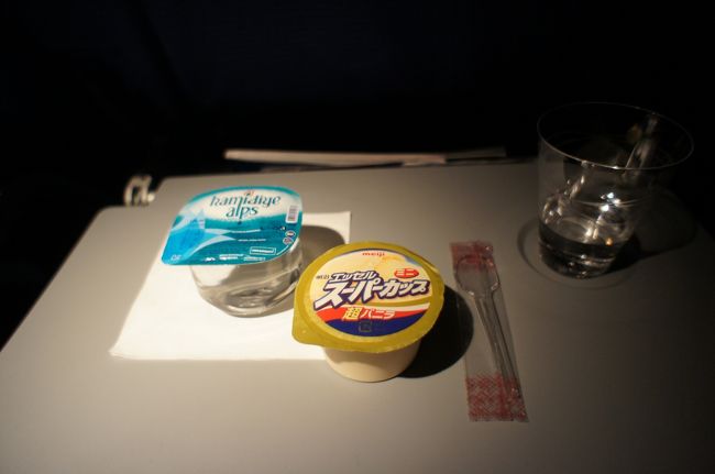 リフレッシュメントはアイスクリーム。