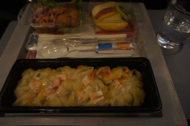 着陸前の夕食もパスタでした…昼食は和食にすればよかったなぁ…！