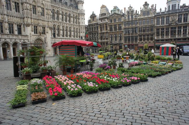 お花を売っています。