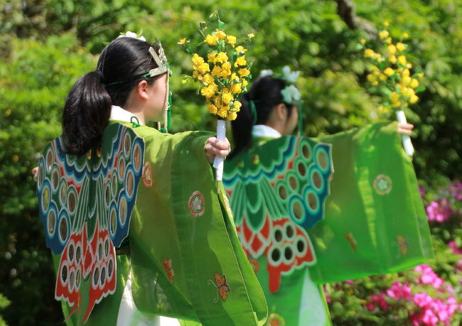 このあとも約２時間にも及ぶ舞が奉納されるようですが<br />私達はここで場所を移動