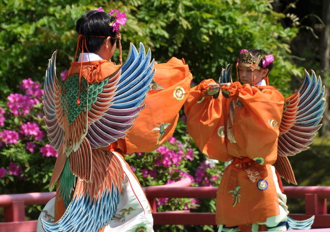 一生懸命さが微笑ましい