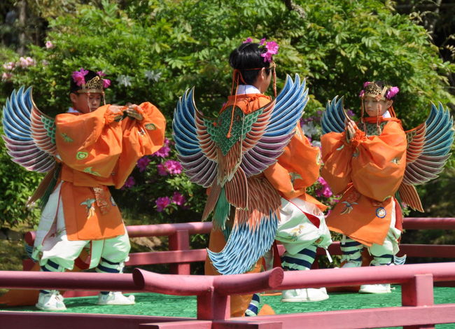今日は子供の日なので、子供達の舞<br />ツツジの花を頭に付けての可愛いらしい舞