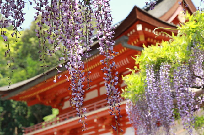 お参りして帰りましょう