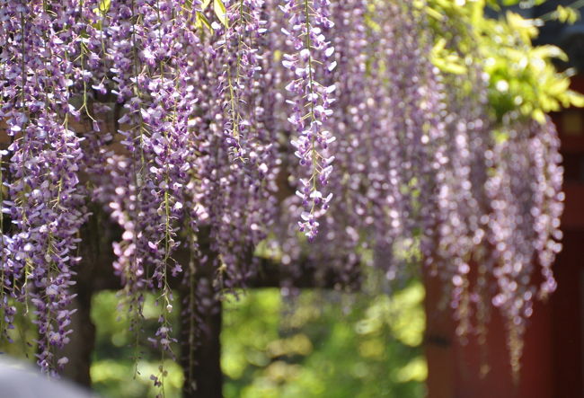 最後までのほほん記にお付き合いくださり、ありがとうございました