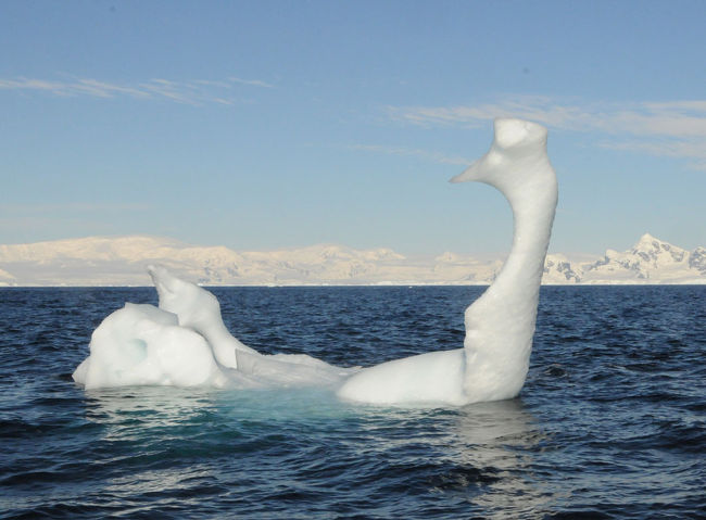 白鳥のオブジェのような小さい氷山もあった。<br />