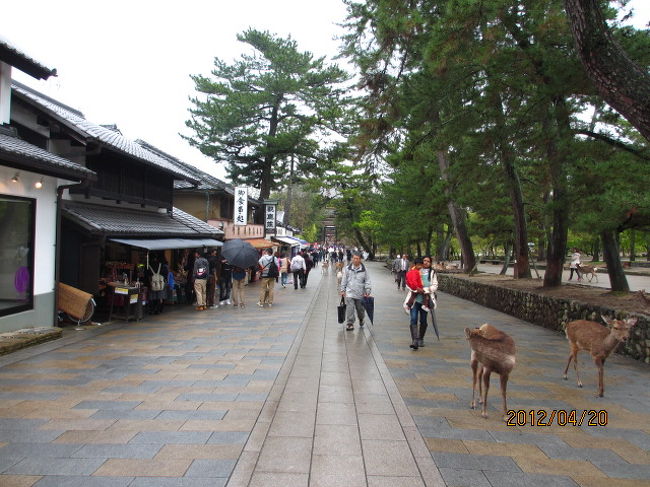 南大門参道でお昼にする。