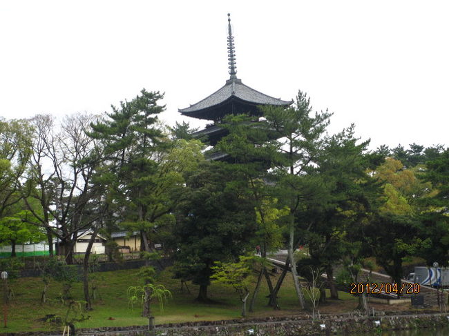 国宝、興福寺五重塔。