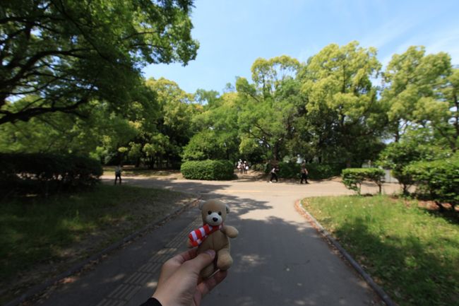 白ばらや 黄ばらの中を あゆみつつ 友と語りし やさしの思い出 「大阪市立 長居植物園」