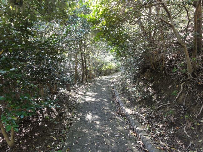 一通り整備された道のようである。<br />絶景好きで、あちこちの岸壁を見に行っているが<br />ここの道は寂れている割に綺麗に整備されている方である。