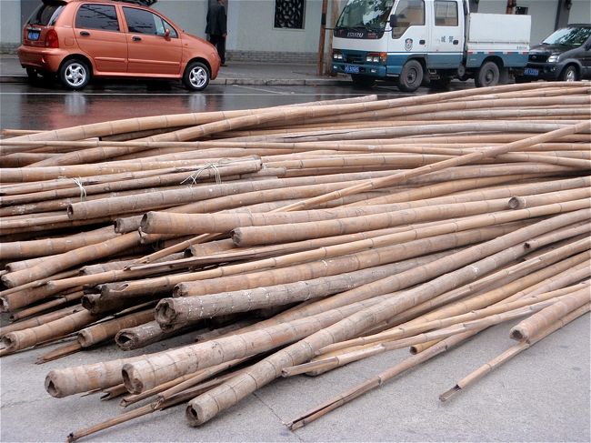 工事現場の足場の竹。