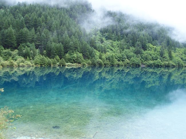 朝早いし、ガイドさんが<br />すいてて綺麗な場所に<br />連れて行ってくれるので助かりﾏｽ♪