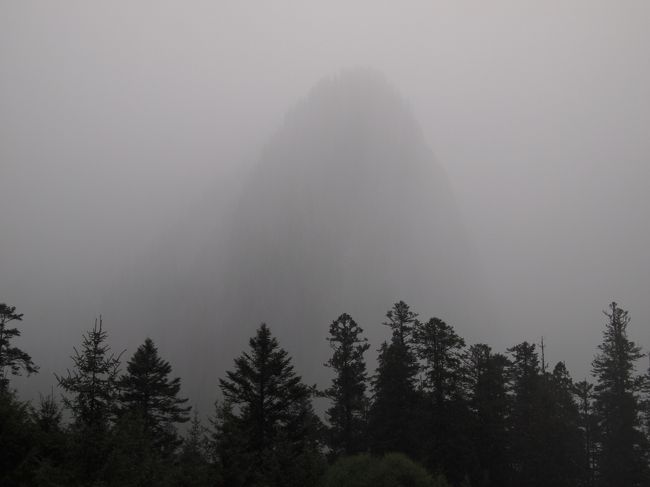 ここで天気急変…<br />ここから少しお散歩予定だったのに、雷ずどーんでみんなバスへにげた。<br />なんの予兆もなくいきなりばりーんだったのでこわかった(>_<)<br />