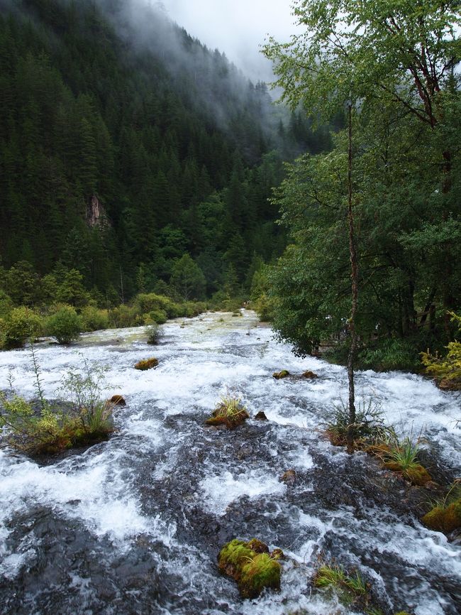 ここだいすきー。<br />水の音に癒される(>ω<)♪