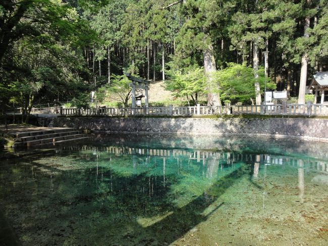 早朝の清清しい風と一緒に<br />旅の疲れもどこかに吹き飛んでしまいました！<br /><br />とっても、小さな場所だけど<br />この水の碧さは、一度見たら、うっとりする事間違いなしですよ〜〜。