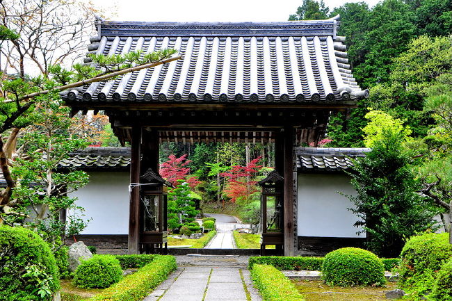 閑静な地にある大池寺の蓬莱庭園』甲賀(滋賀県)の旅行記・ブログ