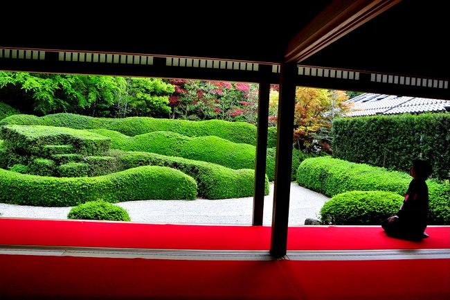 大池寺の蓬莱庭園 | お庭の造園やオフィスの植物のことなら株式
