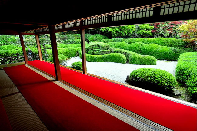 閑静な地にある大池寺の蓬莱庭園』甲賀(滋賀県)の旅行記・ブログ