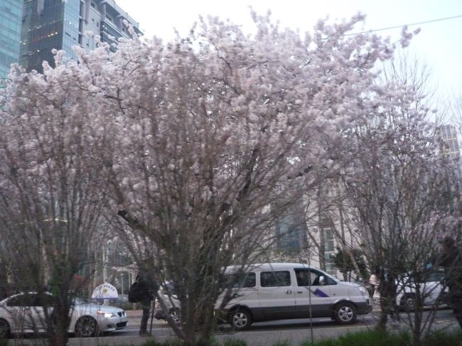 この日はとても暖かく、お花見の人がいっぱいいました。