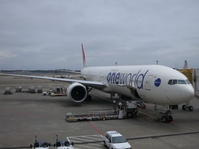 ONE WORLD機体です！