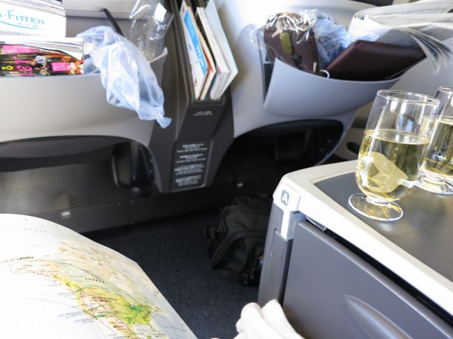 ギリギリで予約したので、ツレとはかなり離れた席。<br />お隣さんは、離陸ギリギリにFクラスから飛んできた若いビジネスマン。<br />マーカーペン持ちながらお仕事。<br />これから楽しい旅行なのに、隣で仕事をされるのはつまらない。