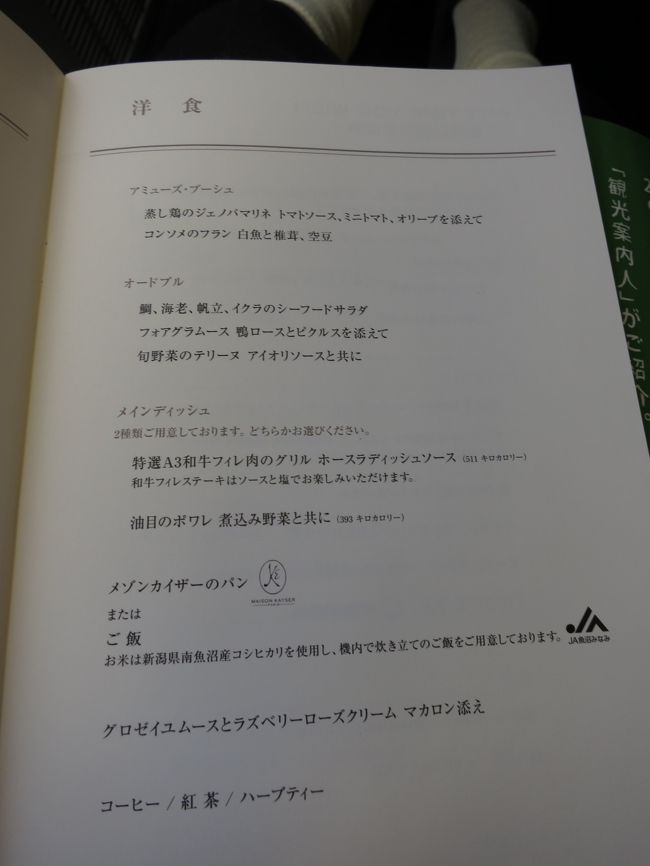 今回は、食べないぞ〜と思っていたけど、ラウンジで食べられなかったので、こちらの洋食を頼んでみた。