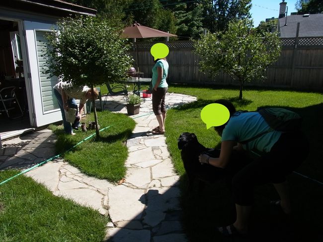 お庭でワンちゃんが、唸ってます。