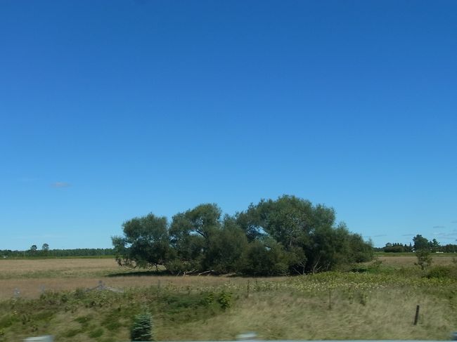 一時間ちょっとかかって行きました。