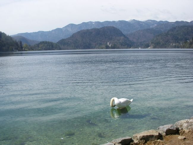 スロヴェニアから走ること40分。<br />ブレッド湖に到着です。<br />雨のイースター休暇の晴れの最終日とあり、イタリア、オーストリアナンバーの車で駐車場はいっぱい。<br />空いてる場所を探すのに少々時間がかかりました。