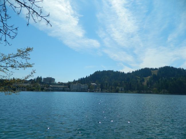 我が家はのんびり散策。<br />周りのファミリーやカップルはなかなかの速さ。