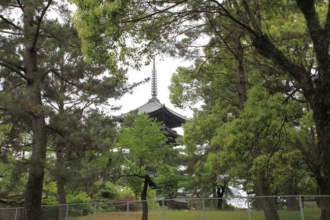 五重塔<br /><br />とりあえず危険なので<br />後に回します<br />先回りが安全でしょうからね