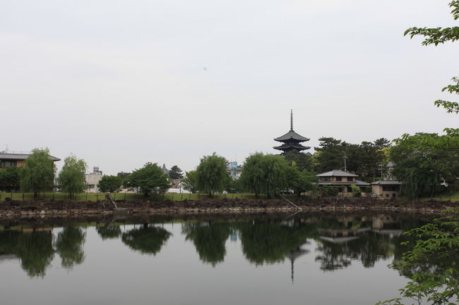 荒池<br /><br />車から見たら<br />五重塔も入って<br />良さそうに見えたが<br />写真にすると・・・