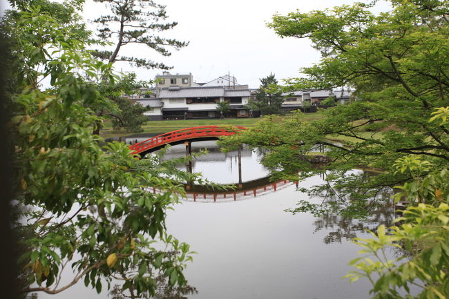 こっそり<br /><br />柵の切れ目から<br />ちょっと撮影するのみ