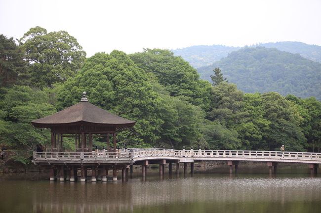 浮島<br /><br />たまに人が来ますが<br />待っていれば<br />誰も居ない状態が狙えるが<br />居たほうが絵になりますね