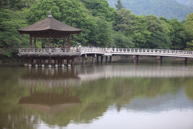 雨<br /><br />空が暗いから<br />水面に映るのですが<br />雨が邪魔ですね<br />ちょっと強くなってきたが<br />傘を置いてきたのは敗因ですね