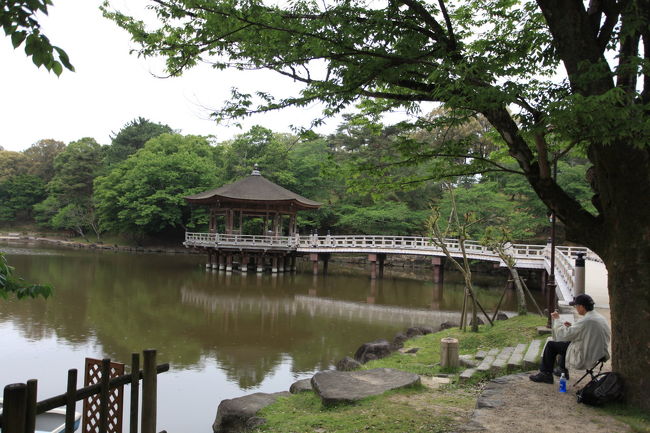 木陰から<br /><br />この辺にも<br />室外写生のおじさんが沢山いたが<br />この付近で<br />季節の変化を記録しているのかな？