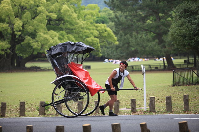 人力車<br /><br />ルカがダウンしても<br />人力車なら大丈夫かな？<br />ガイド付きなので楽勝ですね<br />