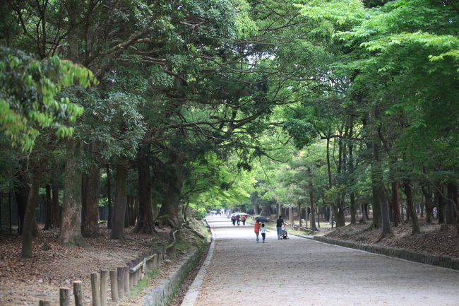 春日大社へ<br /><br />まだ子供たちは<br />こっちへは来ないよな？<br />グループ行動なので<br />そろそろ早いグループは<br />来ちゃうのかな？？？