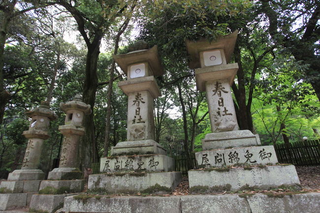 灯篭<br /><br />もう少し雨が強ければ<br />狛犬とかが綺麗に撮影できるが<br />微妙に濡れた感じです<br />春日大社に近づくと<br />ますます灯篭が増えてきました